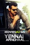 yennai-arindhaal.webp.webp